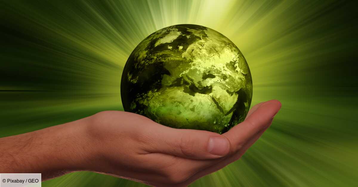 écologie