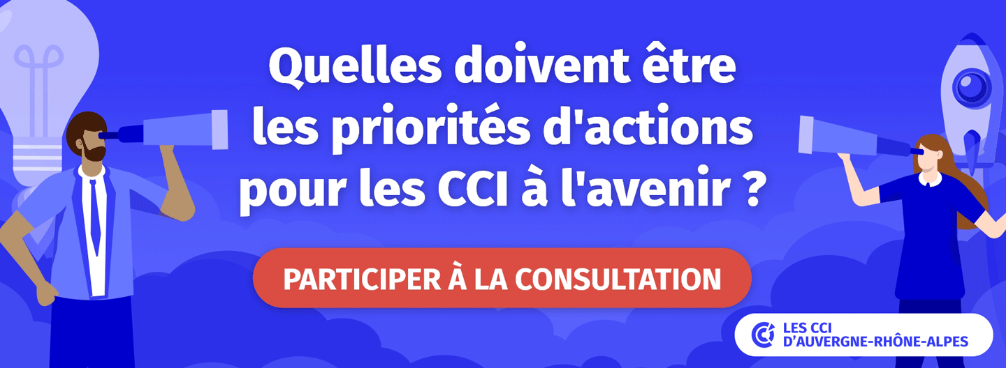 Bannière Quelles doivent être les priorités d’actions pour les CCI à l’avenir ?