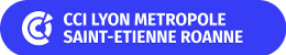 CCI Lyon Métropole Saint-Etienne Roanne logo 50px