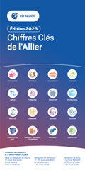 couv-chiffres-cles-2022-allier0.png 