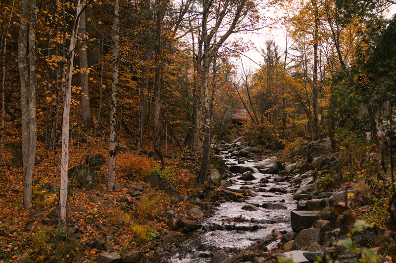 ruisseau