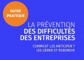 GUIDE DE PREVENTION 