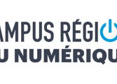 campus-region-long-logqbleugris.png