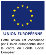ARA_FSE_UE.png